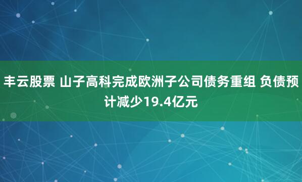 丰云股票 山子高科完成欧洲子公司债务重组 负债预计减少19.4亿元