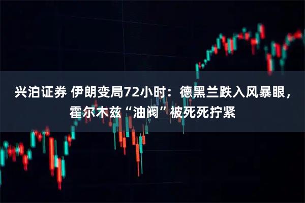 兴泊证券 伊朗变局72小时：德黑兰跌入风暴眼，霍尔木兹“油阀”被死死拧紧