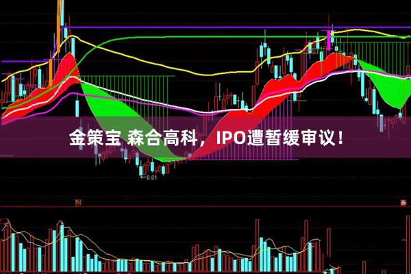 金策宝 森合高科，IPO遭暂缓审议！